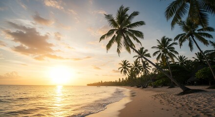 Obraz premium Palm Trees on Sandy Beach at Sunset with Golden Light