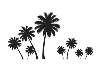 palm trees silhouettes