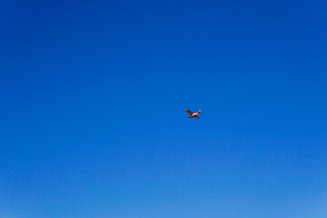 Fototapeta premium Propeller Plane Flying In Blue Sky