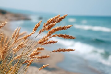 Tall grass sways on the beach, overlooking ocean waves under a clear sky, Hello Summer background.