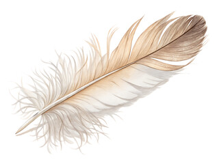 Fototapeta premium feather on white background, PNG