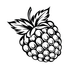 Isolated Blackberry Fruit, Leaves in Black and White, Simple Style, Artistic Silhouette