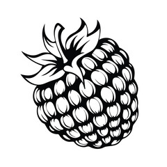 Black & White Raspberry Silhouette, Detailed Berry Outline, Isolated Fruit Drawing, Leafy Crown