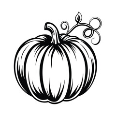 Black and White Pumpkin Silhouette with Vines and Leaves, Botanical