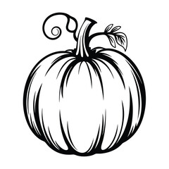 Black and White Pumpkin with Stem, Vine, Leaves Isolated Design