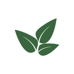 Obraz premium Mint leaf logo vector element template and symbol