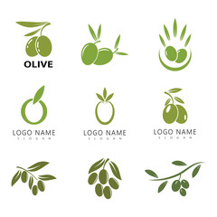 olive icon vector illustration design template