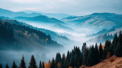 Obraz premium Misty mountains with evergreen trees in tranquil landscape.