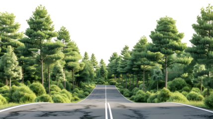 Professionally Rendered AI Illustrations of Isolated Forest Roads for Various Designs