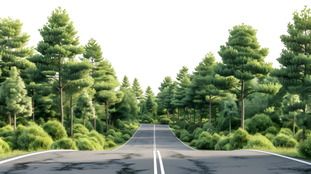Professionally Rendered AI Illustrations of Isolated Forest Roads for Various Designs