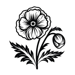 Poppy Flower Blossom Silhouette with Stem and Leaves, Isolated on White Background