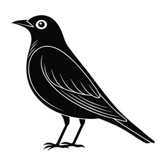 American robin vector illustration, American robin Silhouette, Bird vector art and illustration