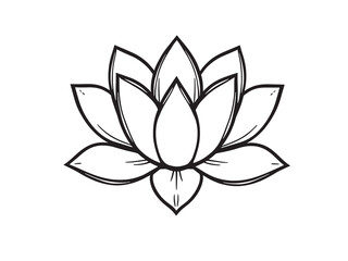 Fototapeta premium Water Lily line art