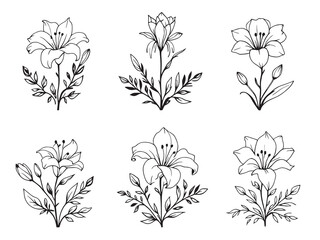Obraz premium Easter Lily line art