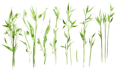 Obraz premium illustrations of various trees, leaves, grasses, and botanical elements on white background.