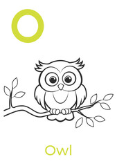 Fototapeta premium Owl coloring page with simple outline on a branch 