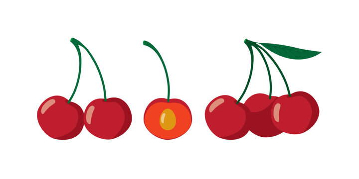 Cherry berry set. Juicy ripe cherries with leaves. Summer berries. Flat Vector illustration isolated on white background