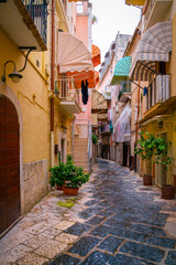 Fototapeta premium Bari city historic district alleys with cobblestone road and traditional houses in Puglia (Apulia), Italy—capturing the authentic charm of southern Italian life.