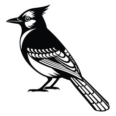 Blue jay bird black silhouette, Blue jay vector art and illustration, Bird vector 