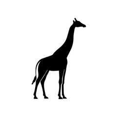 black giraffe vector with white background