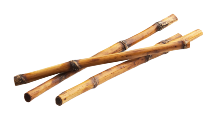 Bamboo Sticks for Rangoli Designs and Diwali Decor - Isolated on White Background