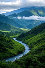 Fototapeta premium a view of a river running through a lush green valley