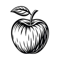 Apple illustration, black and white drawing, fruit with leaf, outline, single object