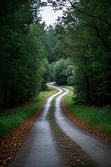 Fototapeta premium there is a long road that is winding through the woods