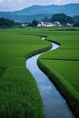 Obraz premium arafed view of a river running through a lush green field