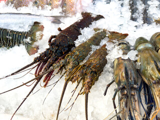 A variety of seafood, including shrimp, lobster, and squid