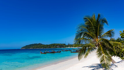Summer palm tree and Tropical white beach with blue of seashore background