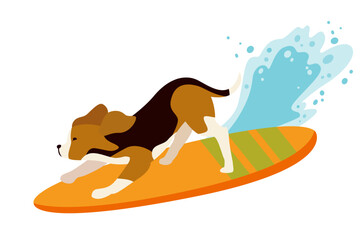 beagle dog surfing