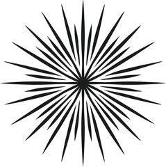 Fototapeta premium vector illustration of a black star