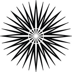 black and white star shape