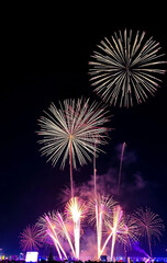 Obraz premium A Fireworks Display Lighting Up the Night Sky
