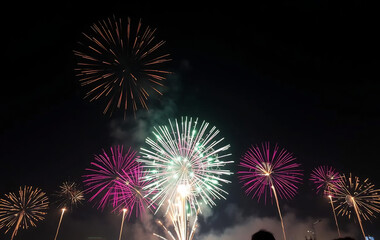 A Fireworks Display Lighting Up the Night Sky