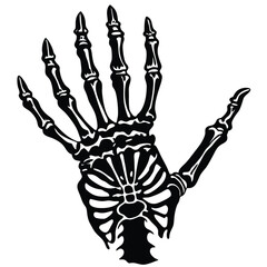 Skeleton Hand Anatomy White Bones Black Outline on White Background Art