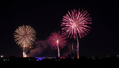 A Fireworks Display Lighting Up the Night Sky