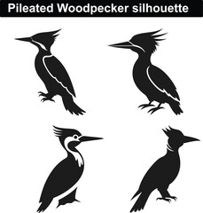 Animals silhouette  collection. Animal logo  vector set. Isolated on White background