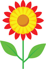 Sunflower vector illustration a yellow floral design of a summer bloom
