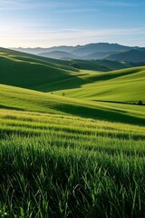 Obraz premium a close up of a field of grass with mountains in the background