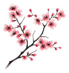 PNG Chinese ink cherry blossom illustration watercolor springtime.