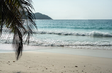 Seychelles beach scene with soft sand, gentle waves, palm leaves, and turquoise ocean