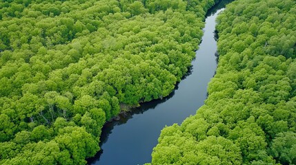 Clean river next to green forests, contrast of ecology 