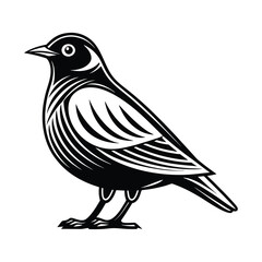 Chipping sparrow silhouette on a white background, Bird vector art and illustration