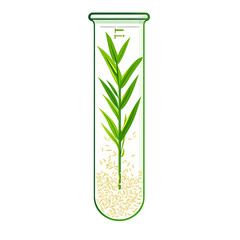 rice-related illustrations and smart farming technologies, focusing on grains, plants, cultivation, and innovative agricultural solutions for commercial use.