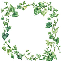 Naklejka premium Borders with greenery like Philodendron framing PNG image add natural elegance to your creative design projects