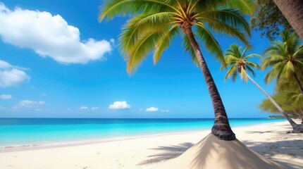 Dream Scene Beautiful Palm