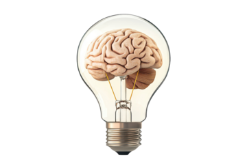 Brain inside lightbulb icon highlights the connection between intelligence and illumination of thoughts