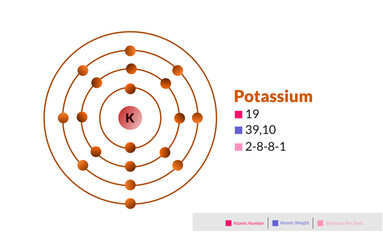 Bohr model of the Potassium atom. Electron structure of Potassium.